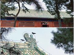 -天坛公园