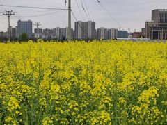 -良渚古城遗址公园