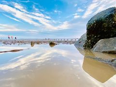 -南汇嘴观海公园