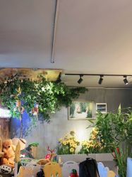 -小猴子儿童摄影馆(茂业店)