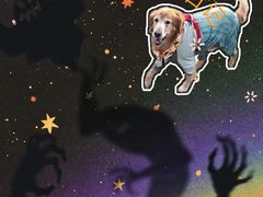 -东钱湖旅游度假区