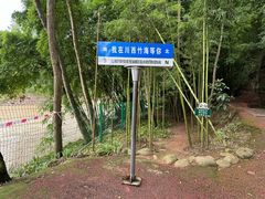 -平乐古镇