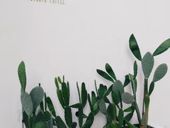 -花沐 FLOWER BATH(凤凰城店)