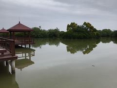 -大湾区中央湿地公园