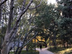 -元大都城垣遗址公园