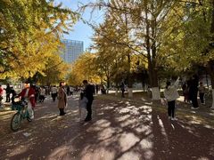 -辽宁大学(崇山校区)