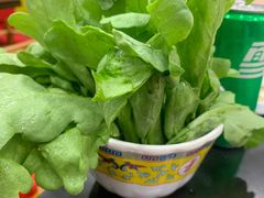 -芦月轩羊蝎子(北蜂窝店)