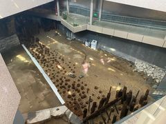 -元代水闸遗址博物馆