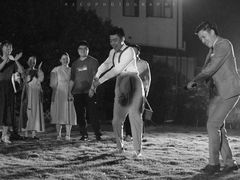 -怪咖·joker陈楠