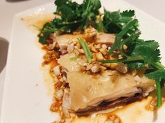 沙姜葱油鸡-粤财皇冠假日酒店·彩华轩中餐厅