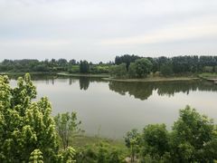 -东郊湿地公园