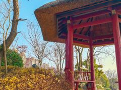 -扬子江公园