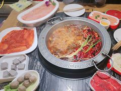 -杨肥肠火锅大排档(火车站花园店)