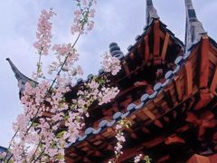 -上海财神庙