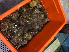 -渔傅·蓝海岸霞浦海鲜(正祥店)