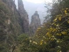 android_upload_pic-神农山景区