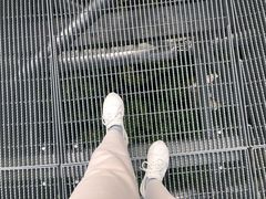 -福道