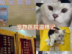 -天宠宠物医院24小时·急重症诊疗中心·全科·腔镜特色(和平分院)