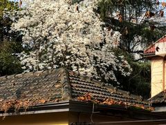 -颐和路民国时期公馆风貌区