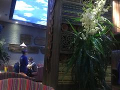 -雀舞云南菜(乐客城店)