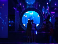 -成都浩海立方海洋公园