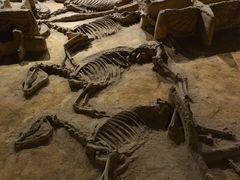 -洛阳周王城天子驾六博物馆