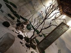 -淀里船宴(裕华东路店)