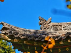 -晋祠公园