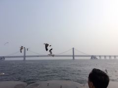 -马路边上·小海鲜烧烤(八一路店)