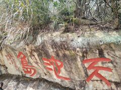 -千岛湖东南湖区