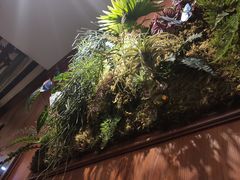 -浩海火烧云傣家菜(京广店)