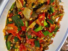 鸭掌筋-壹盏灯(惠农店)