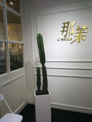 -变画·发型STUDIO