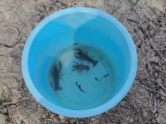 -梁子湖东篱老屋生态庄园