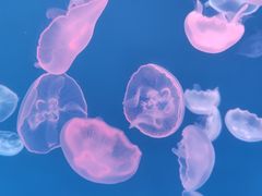 -多彩贵州城极地海洋世界