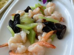 -云中小雅