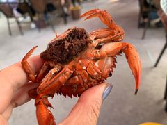 -同道蒸汽海鲜烧烤自助(刘庄夜市店)