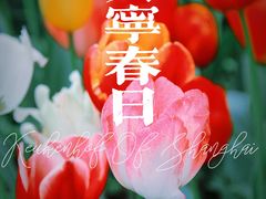 -大宁公园