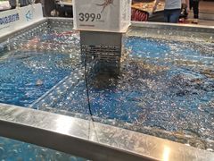 -盒马鲜生(莱蒙都会店)