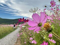 -丽江泸沽湖景区