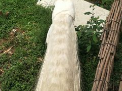 -昆明动物园
