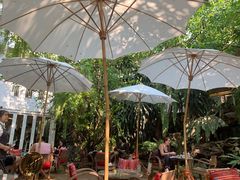 -Fern Forest Cafe
