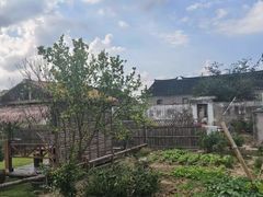 -小陆莲花蟹园农家乐(莲花岛店)