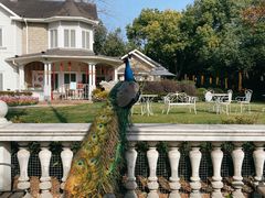 -J Create城市露营咖啡·简餐·宠物(上海动物园店)