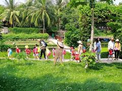 -亚马逊丛林水乐园