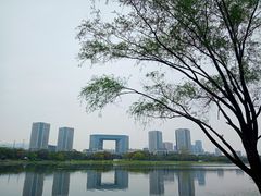 -渤公岛生态公园