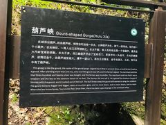 -牛背梁国家森林公园