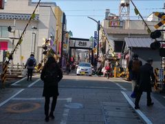 -涩谷区