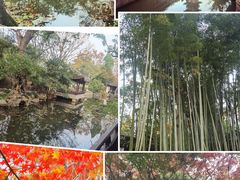 -秋霞圃