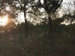 -新江湾城公园